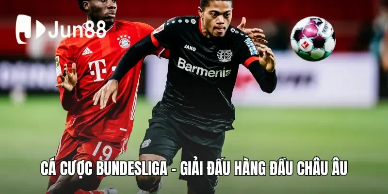 Cá cược Bundesliga - Giải đấu hàng đầu châu Âu