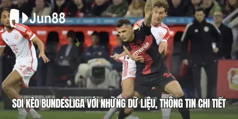 Soi kèo Bundesliga với những dữ liệu, thông tin chi tiết